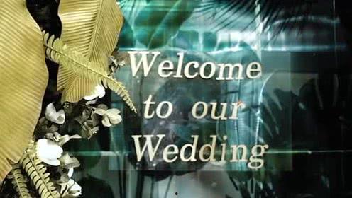 不二娱乐影视公司